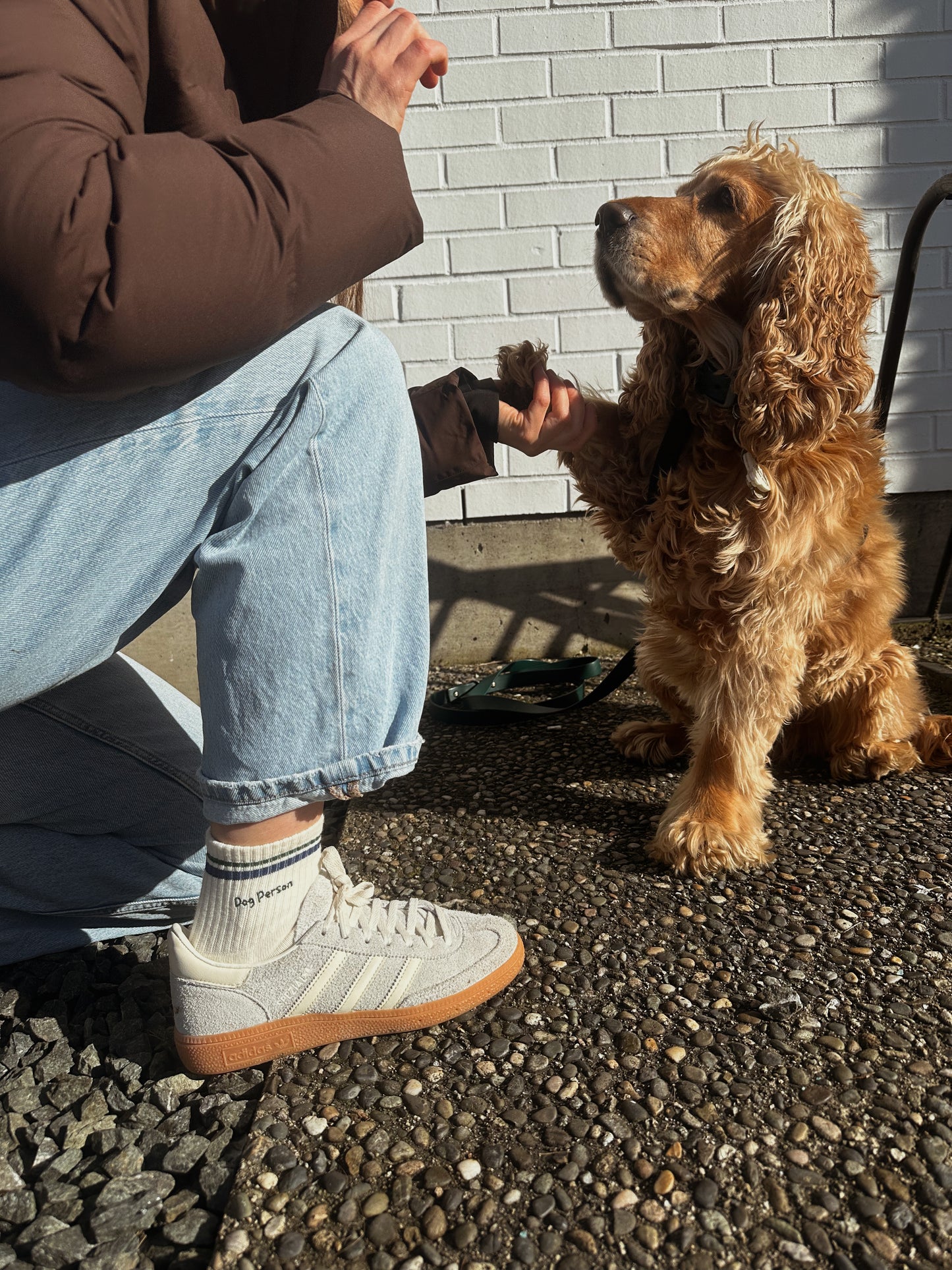 Dog Person Socks 2.0