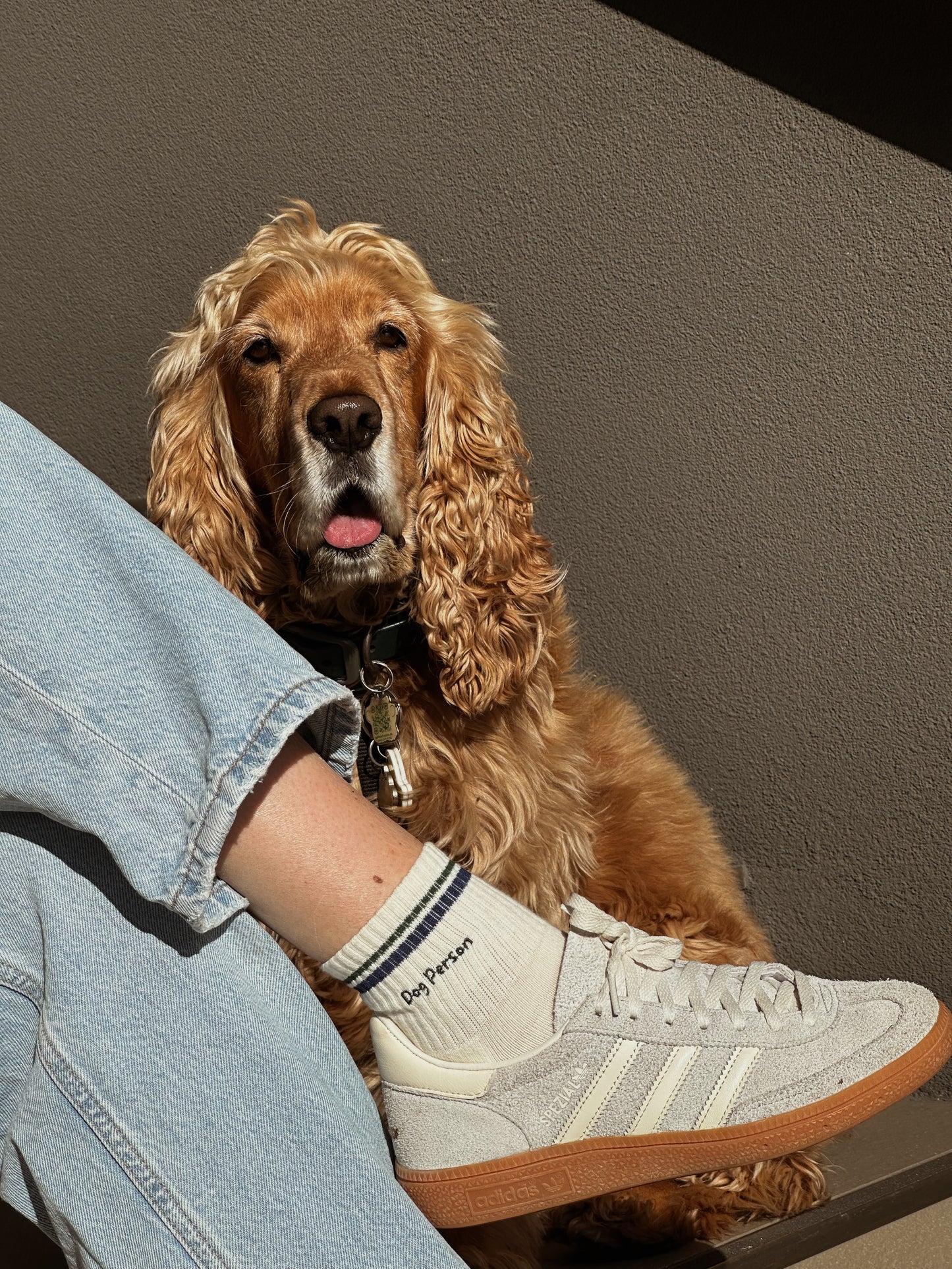 Dog Person Socks 2.0