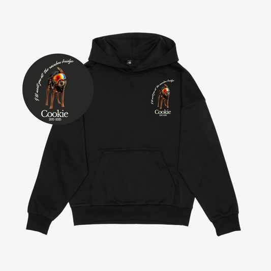 The Rainbow Bridge Mini Hoodie