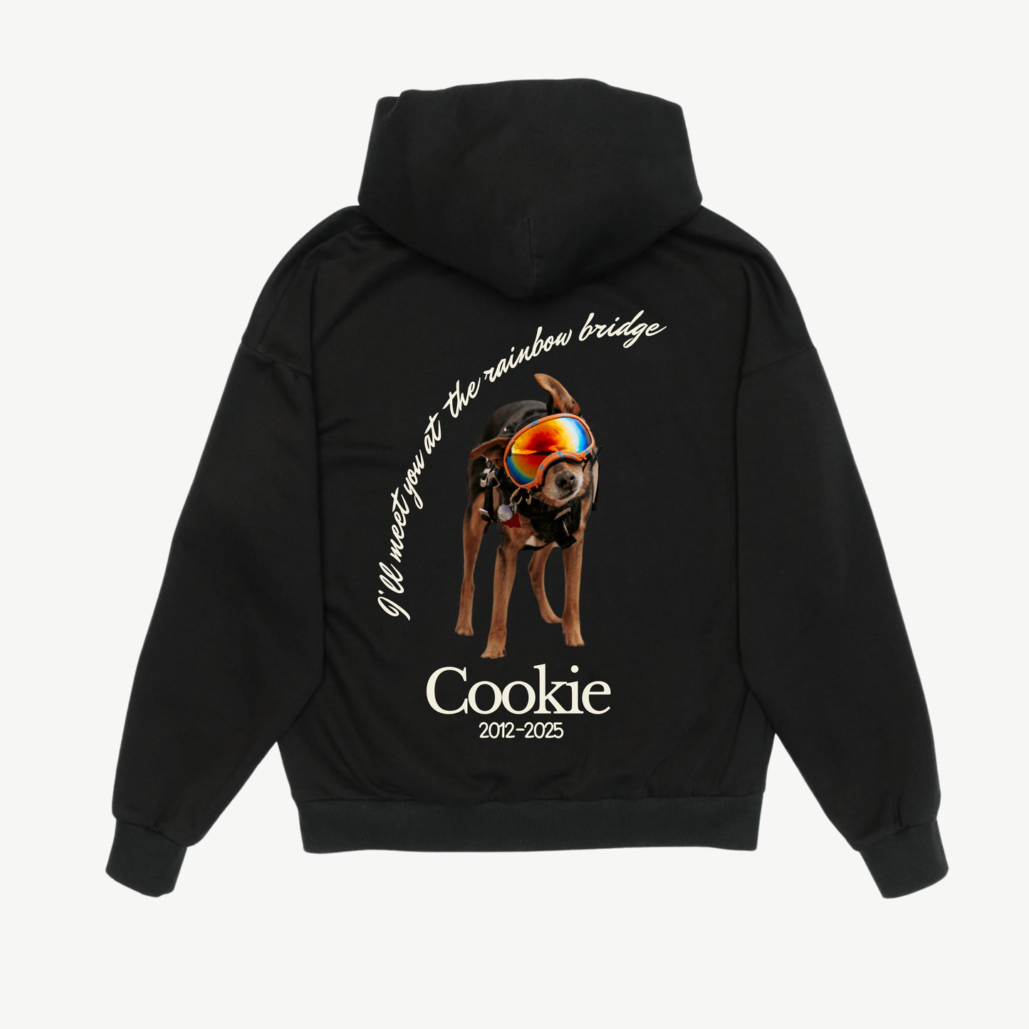 The Rainbow Bridge Hoodie