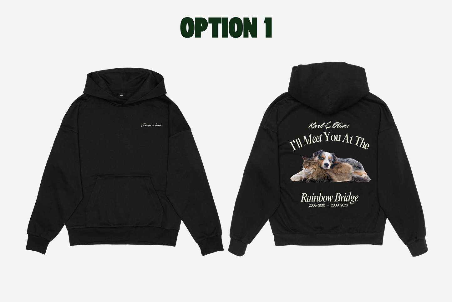 The Rainbow Bridge Hoodie