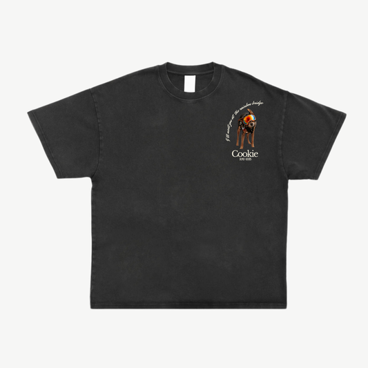 The Rainbow Bridge Mini Tee